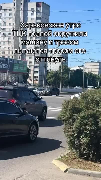 ���� �� ������� �����! ��� ��� ������ ������ ������!