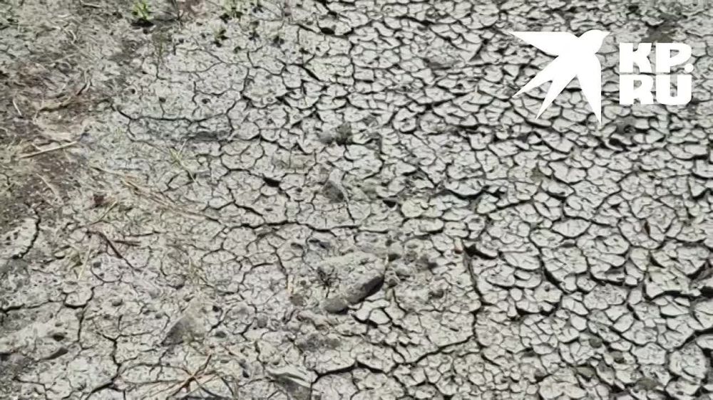 ����� �� ����. ���� ���� ��������� �� ������� ���� � ��������