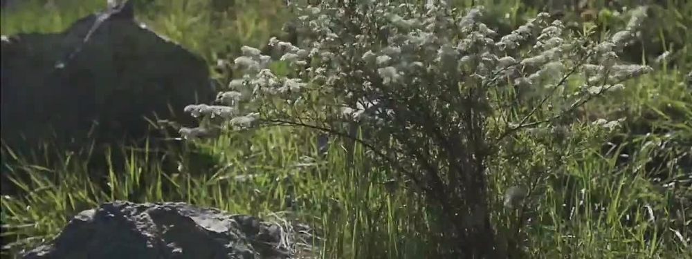 ������� ��, �������, ������ ���? ��� ���� �� ���?