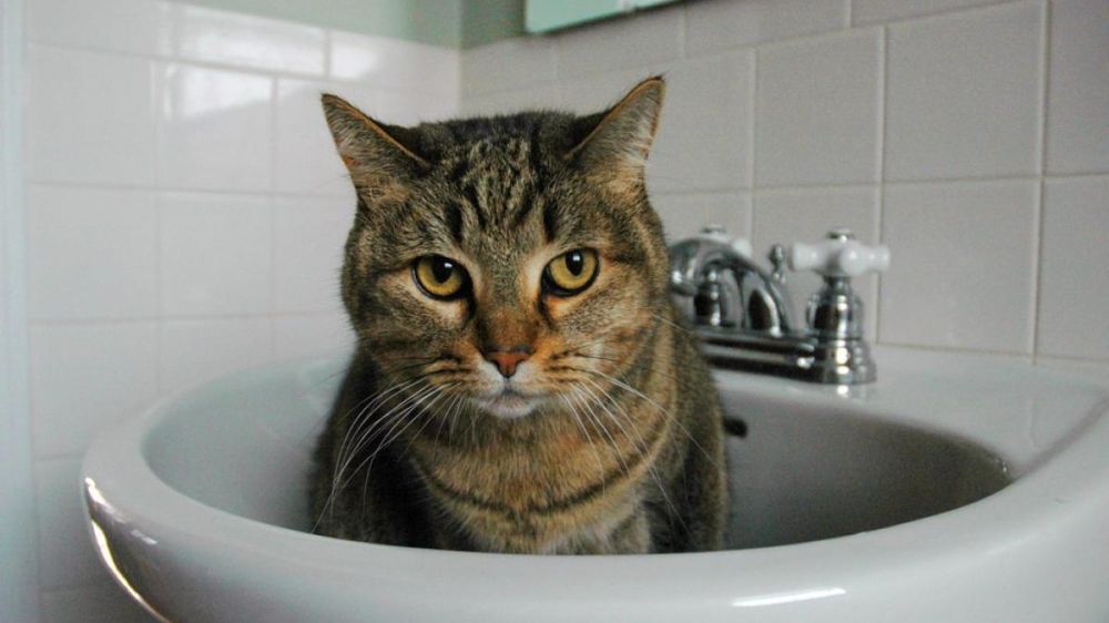 � �������� � 8:00 20 ���� � �������������� �� 10:00 21 ���� ��� ���������� ����� �� ���� � ������ ������ ������� �������� �� ����� ��������� ����� ���������� ������ ���� � ��������� ������: