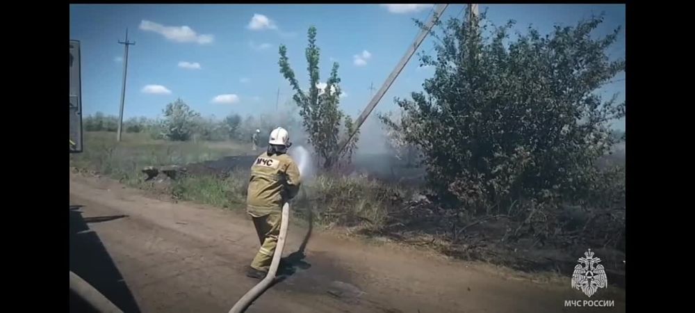 ������� ����������� ������� ������� �������� � ������������� ������� �� �������� �����������