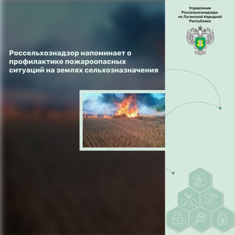 ���������������� ���������� � ������������ ������������� �������� �� ������ �����������������