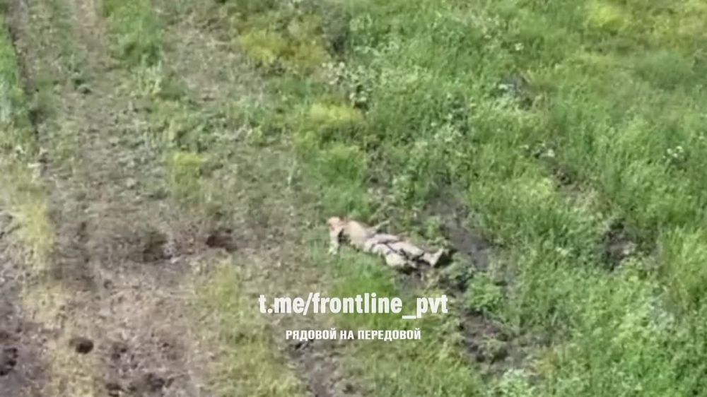 �������������� ��� ��� ������� ������� ����� ����������� ������� ������� �� ����� "����������" � ���� FPV-�����