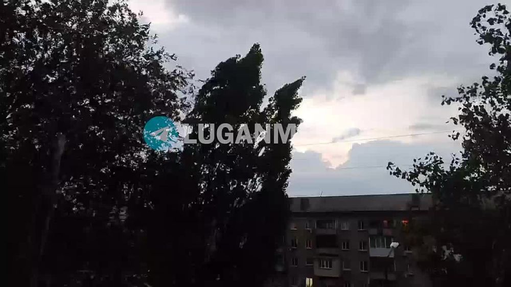 �������, � ��������, ���������� ������� ������ �����