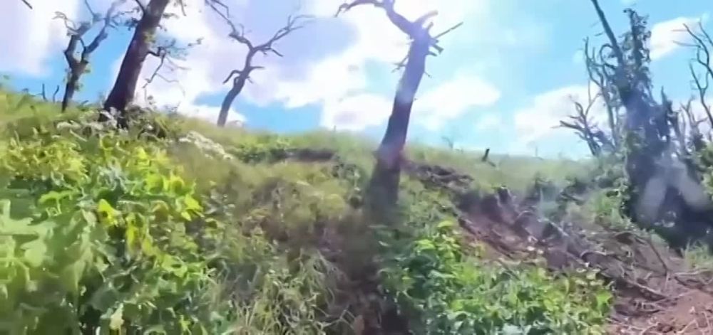 ���������� ����, �������� � ������� ��������, ����� ���������� ����� ��������� �� ���, ������� ����� ����� ����� � ������