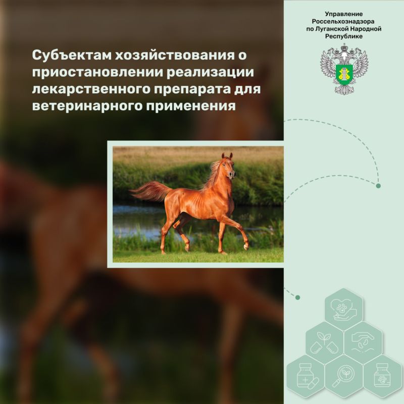 ��������� �������������� � ��������������� ���������� �������������� ��������� ��� ������������� ����������