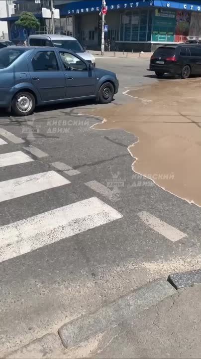 � ���� ����� �����, ���������