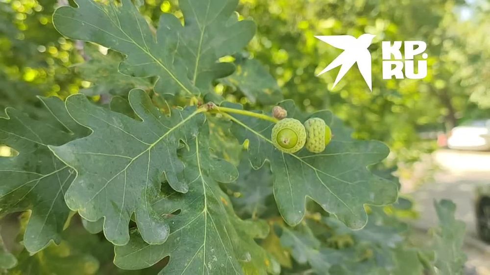 ������-������. �� ����� � �������� ��� ��������� ��������� �����