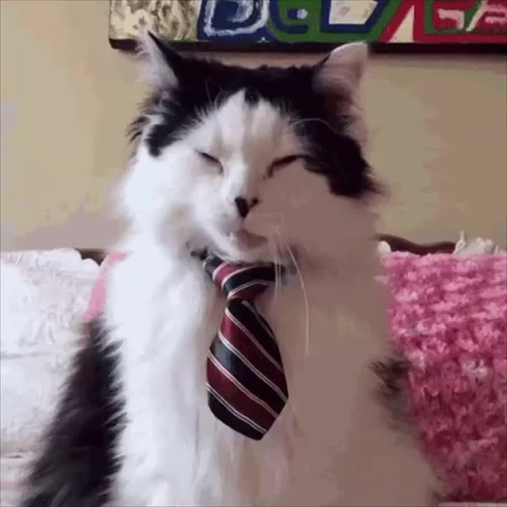 ����������, ����������, ����������