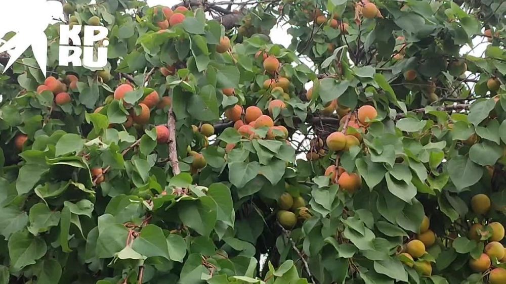 �������� �������. �������� ��������� �� ��������� ����� � ����� �� ����������� ��������