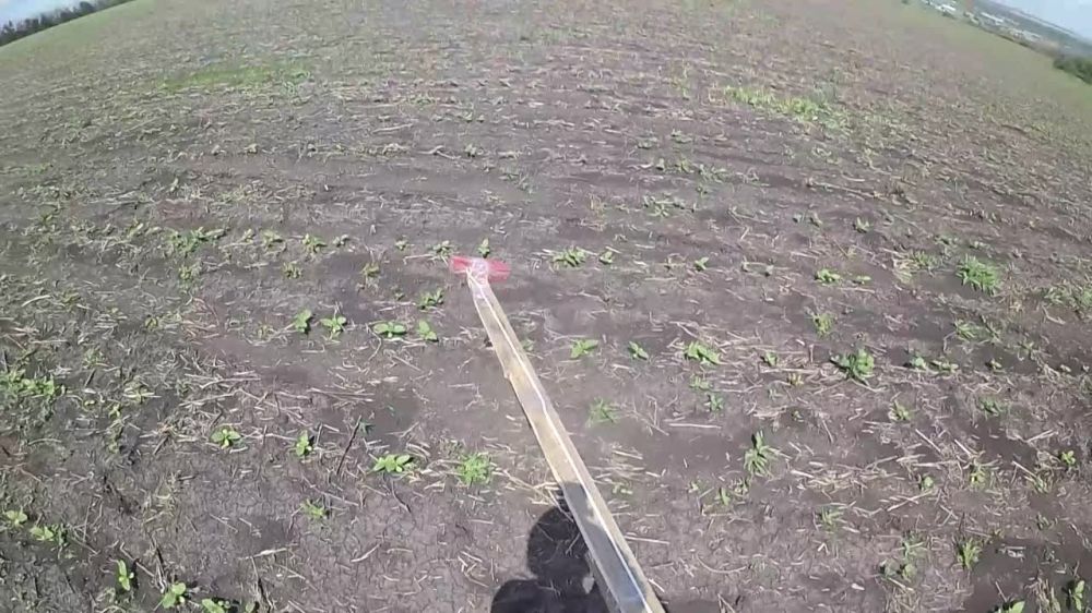 ���������� ������ �� �������������� �������������� ������ � ������� ����������� ���