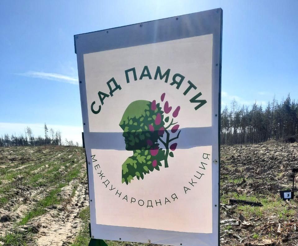 ����� 53 ����� �������� �������� � ��� ��������� ������������� ����� ���� ������ � �����-���� 2024 ����, �������� � ���������� ���