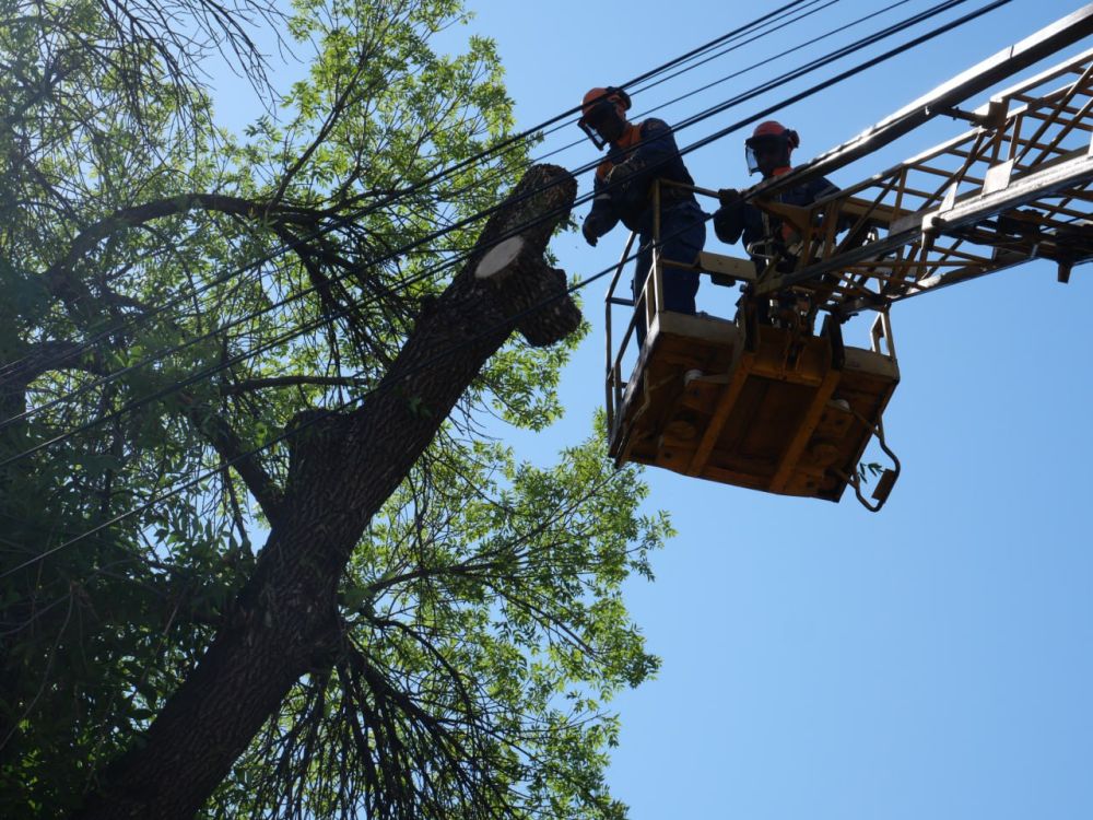 ��������� ������ ���������� ������������� �� ��������� �������