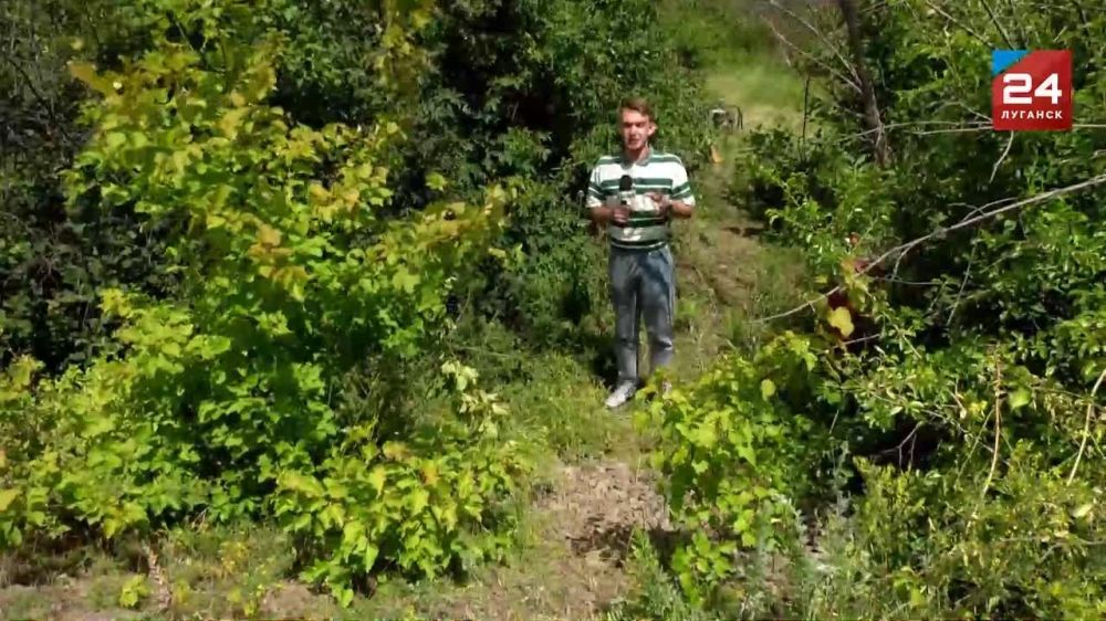 ����������� ����������� ������������ ��������� ����� �� ��������������� ����������