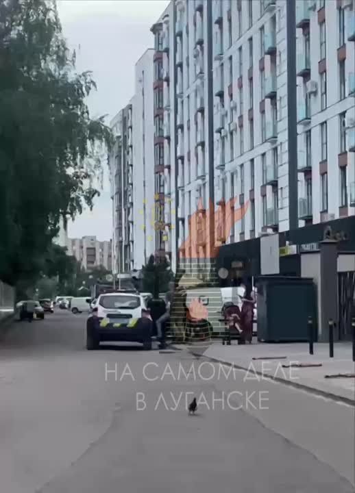 �� ��������� �����������: � �����-���������� ������� �� �����������