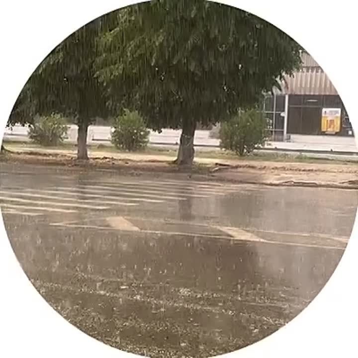 ������ ������ ������� � ������ ��������