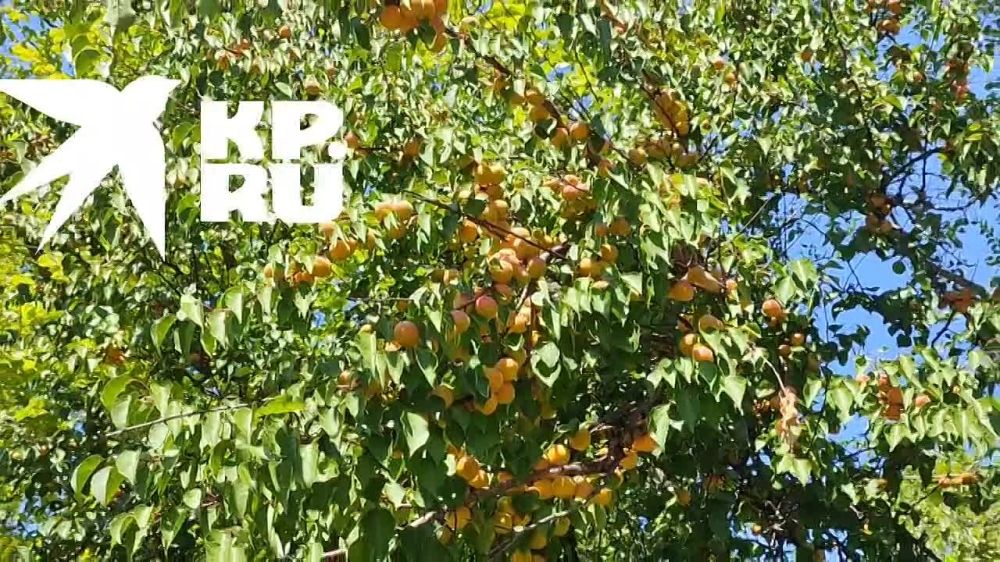 ��������� ������. ��������� � ���� ���� ��� �����, ��� ������������ ������� ������ �� �������� ������