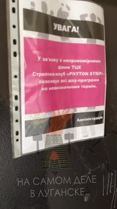 � �������� ��������-����� �PHYTON STRIP� ��� �������� ������������