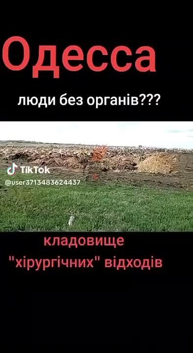 �������� �������� �������������� ������� ������� ��� �������