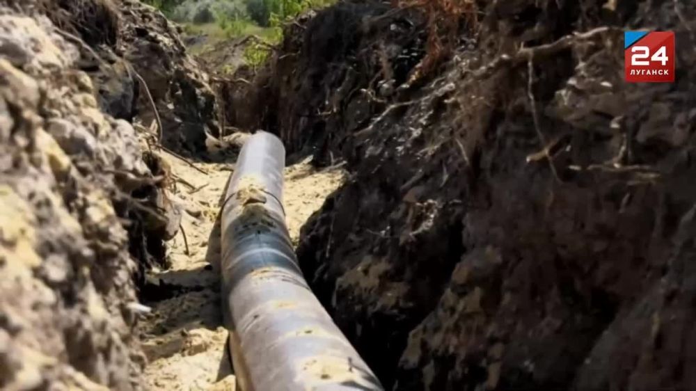 ����� ������ �� ����� ���������������� ������ ����