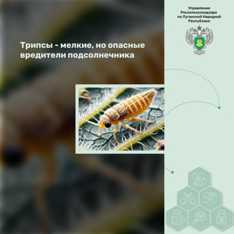 ������ � ������, �� ������� ��������� �������������