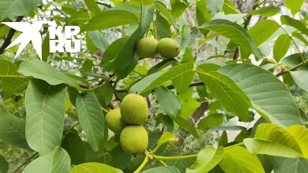 ������ ������� ����, � ������� ����� ��� �������� ����������