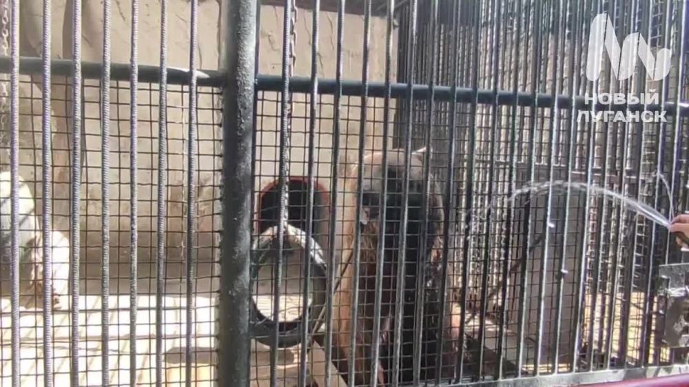 � ��������� ���������� ����� 1 ��� �� ����������� ��� ��-�� ������� ���� � ����� �������� ������ ���������