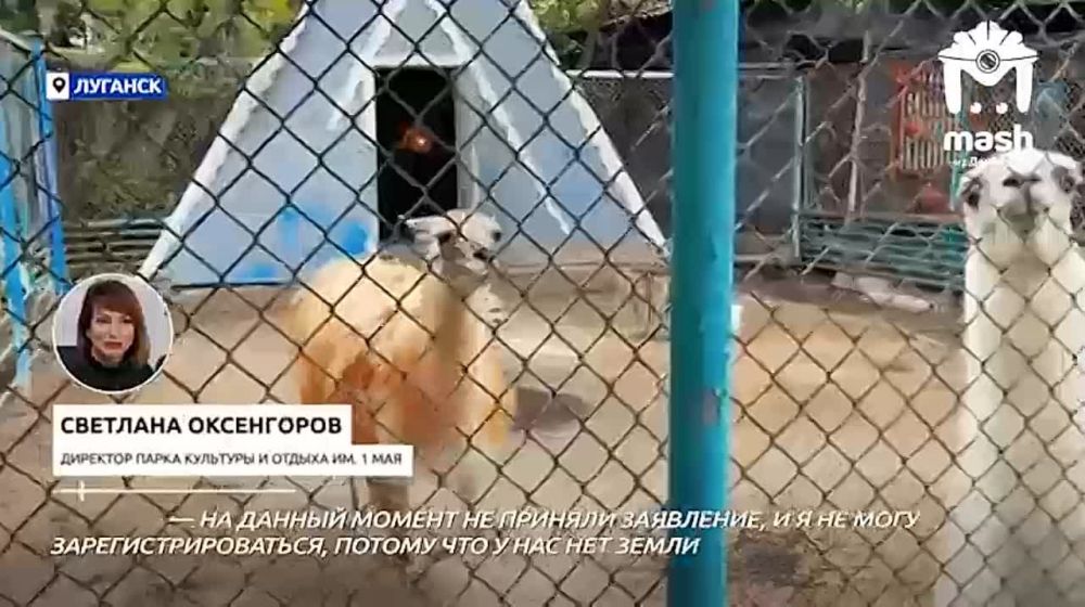 �������� � ��������� ����� 1-�� ��� ����� ������� ��-�� ���������� ��������