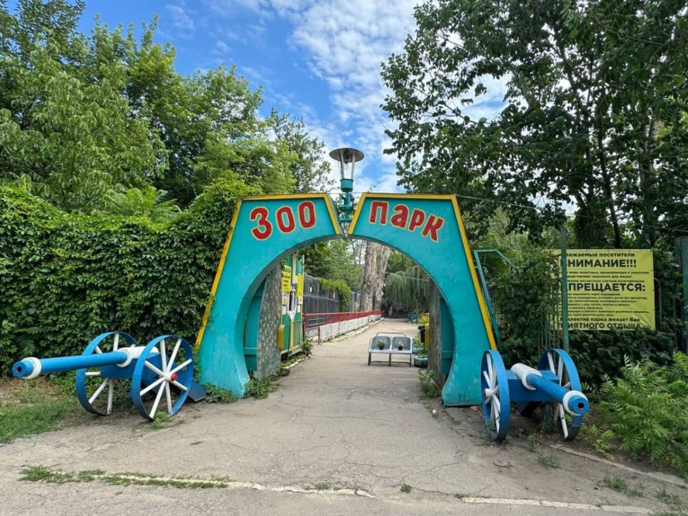 ����������� ����������������� �� ��� ��������� ����������-��������� ����������� � ��������� �������� ������ ��������