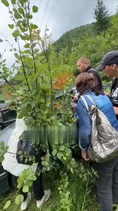 ����� ���� ���� ��� ��������� ������������