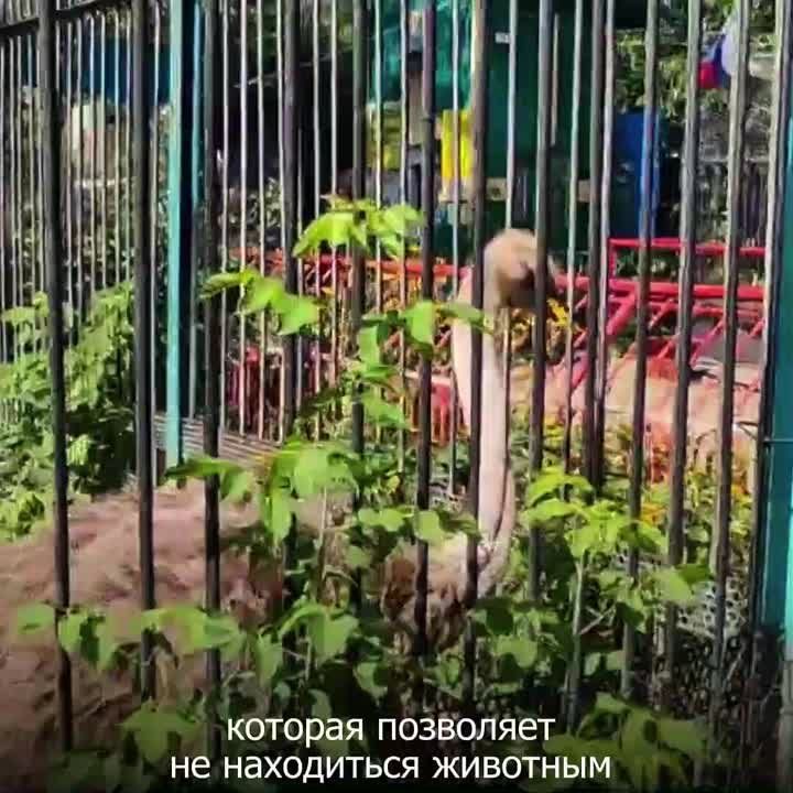 ��� ������� �� ���� �������� � �������� ��������?