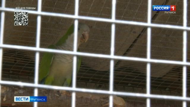 ������ ������, ����������� � ����������, ������� � ������ � � �������� ������� ����������� �����