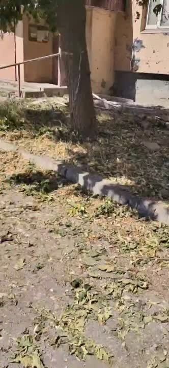 ��� ������ ���������� ��������� (���) � ������� ����!