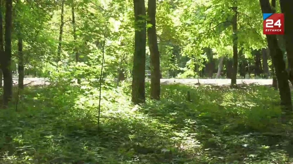 ����� ������ � ���������� �������� � ��� �� �������