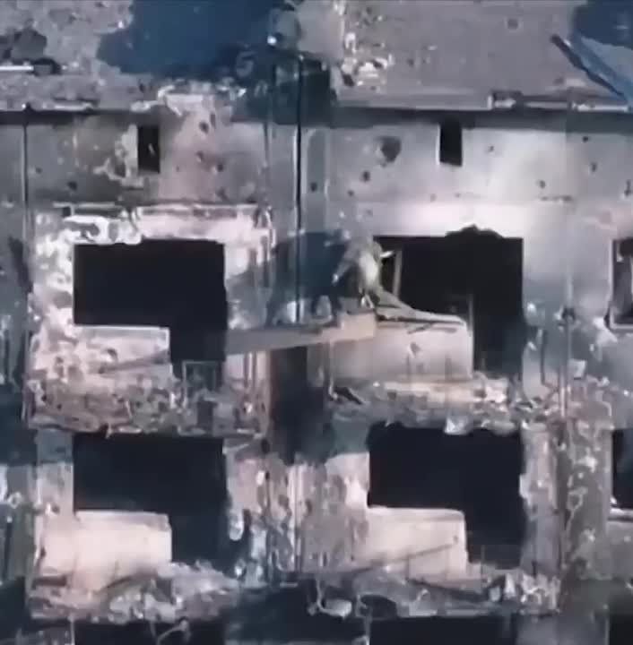 ����� ������������ ����������� ������ �������� � ����� ��� � ����� ������� ������, �������������, �����!