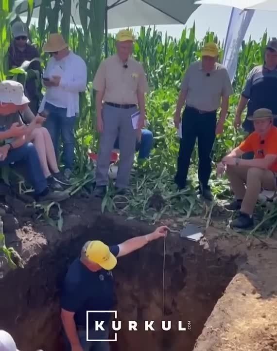 ����� ��������� �������� ����� �� ����������: 80 ����������� ���������! ��� ���!