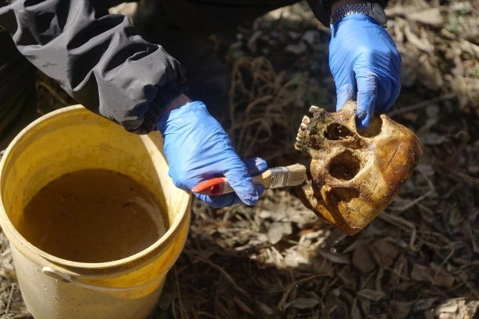 50 ��� ������ ������� ������������� �� �������� ������ � �������������