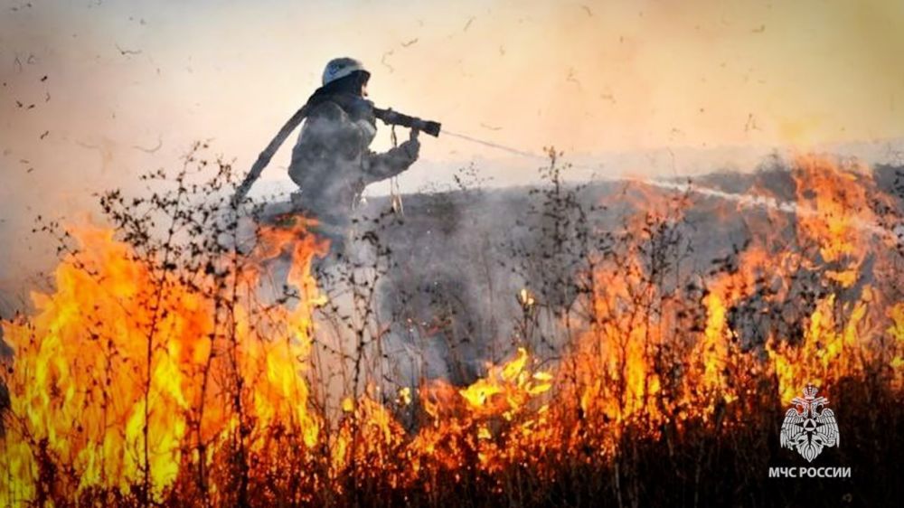 8 ���� � ���������� ������������� 40 �������, �� ��� 5 � ������� ����������, �������� � ������� ���������� ��� ������ �� ���