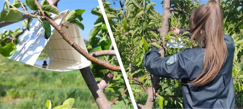 ������������ ����� ������� � ������� ���������� ���� ����������� ���������