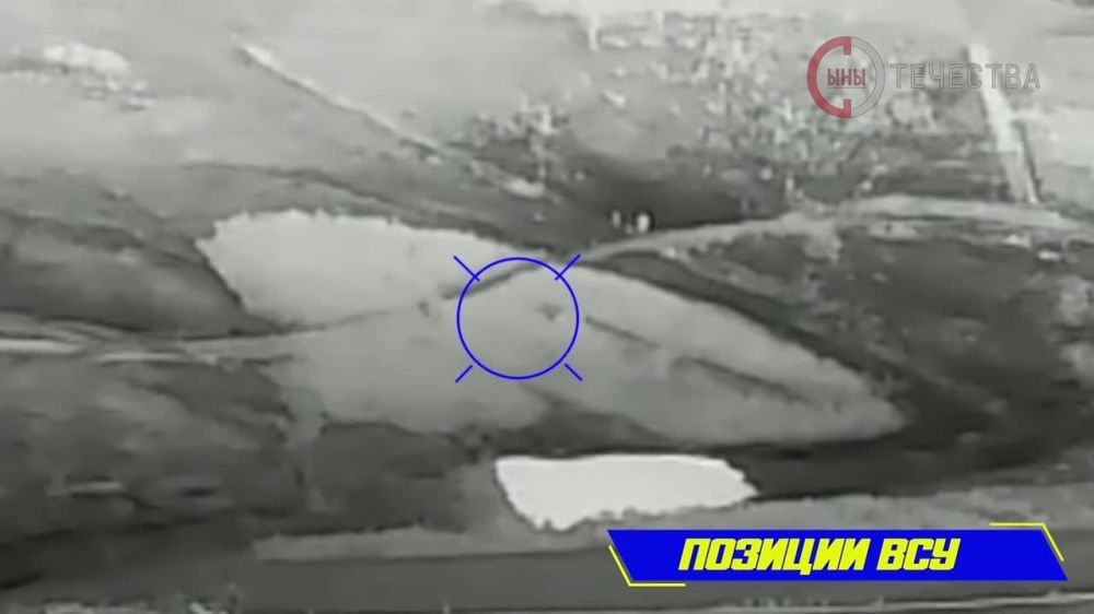 ��������� ������������ ���������� ������� ���������� �� ��������� �����������