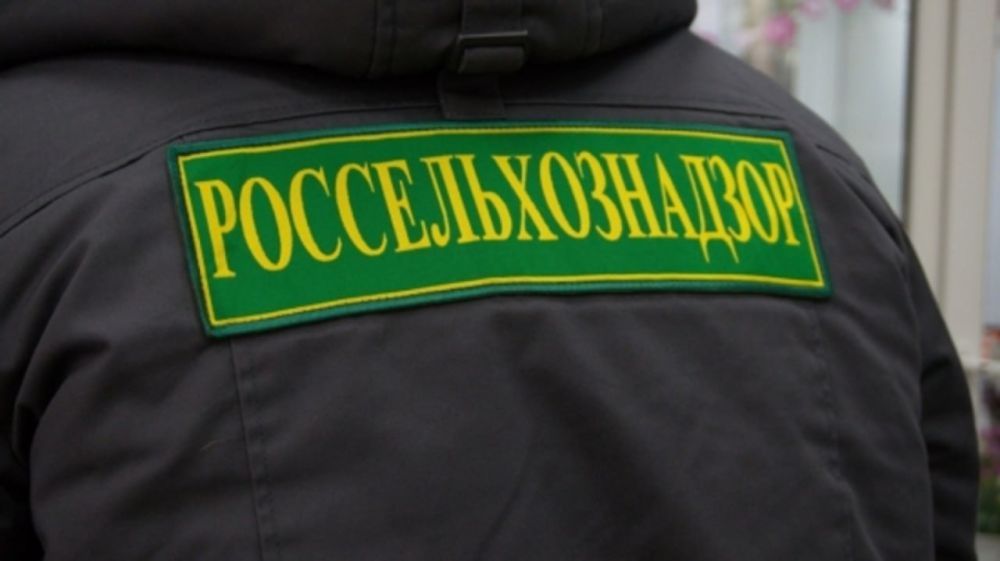 15 �������� �� ������������� ���������������� ������������ ������ ������������������ �� ���������� ���, �������� � ������������ ���������� ����������