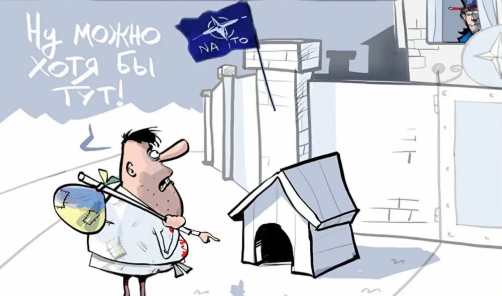 ������� ��� ����� ����� ������ ���λ, ���� �� ���������� �� ����� � �������, ������ ��������� ������ ���� � �������� The Washington Times