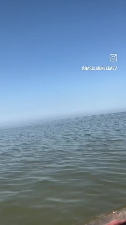 �������� ����� ������� ���� �������� ����� �������