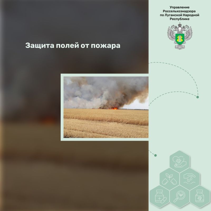 ������ ����� �� ������. ��������� ���� �������� ������� � ��������� �������� ���������� � ����� �������. �� ����������� ����...