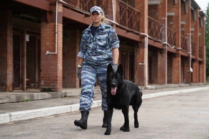 � ��� ������ ����� 500 ������� ��������� � �������� ������������� ����