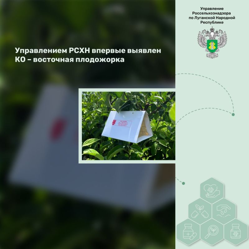 ����������� ���� ������� ������� �� � ��������� ����������