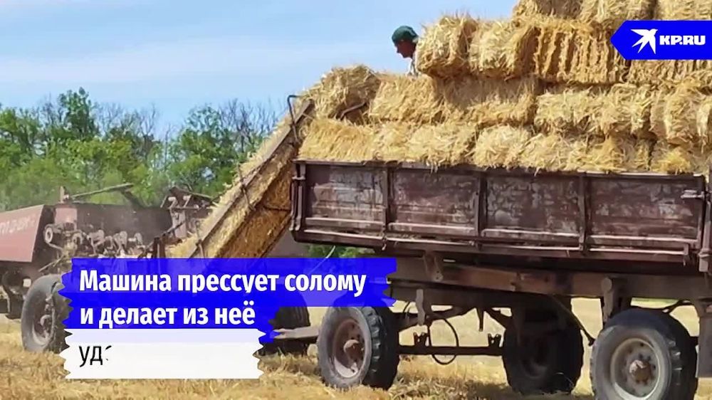 � �������� �� ��� ��� ��������� ����