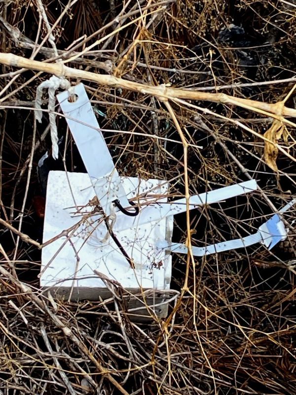 ����������� ���� ������� � ������� ���� "����" ������������� ���������� �� ������� ����� ��������� �������� ����������, �������� � ���������� ���