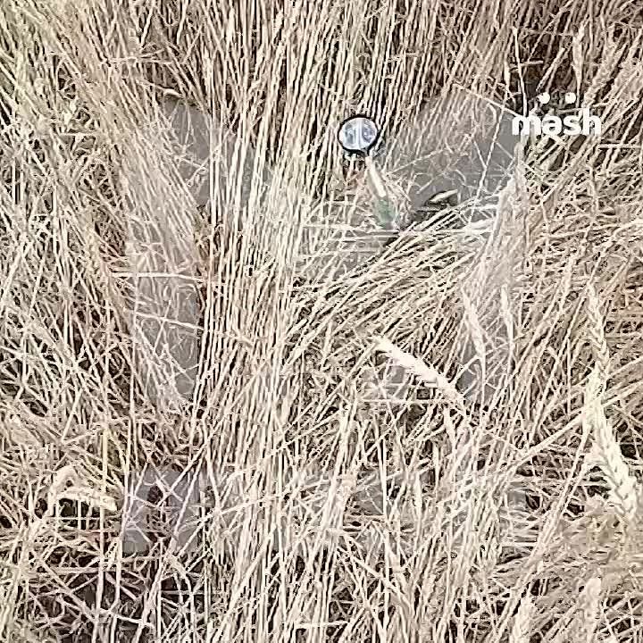 ������� �������������� ������ ���������� � ����� �� ������