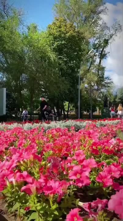 ��������� ��� ��� ��������� ��� ������ �� ������ ������